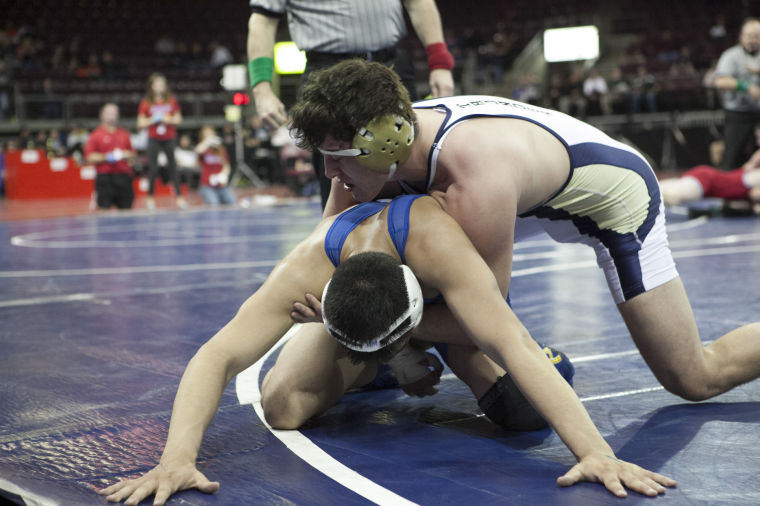 Wrestling: State Championships